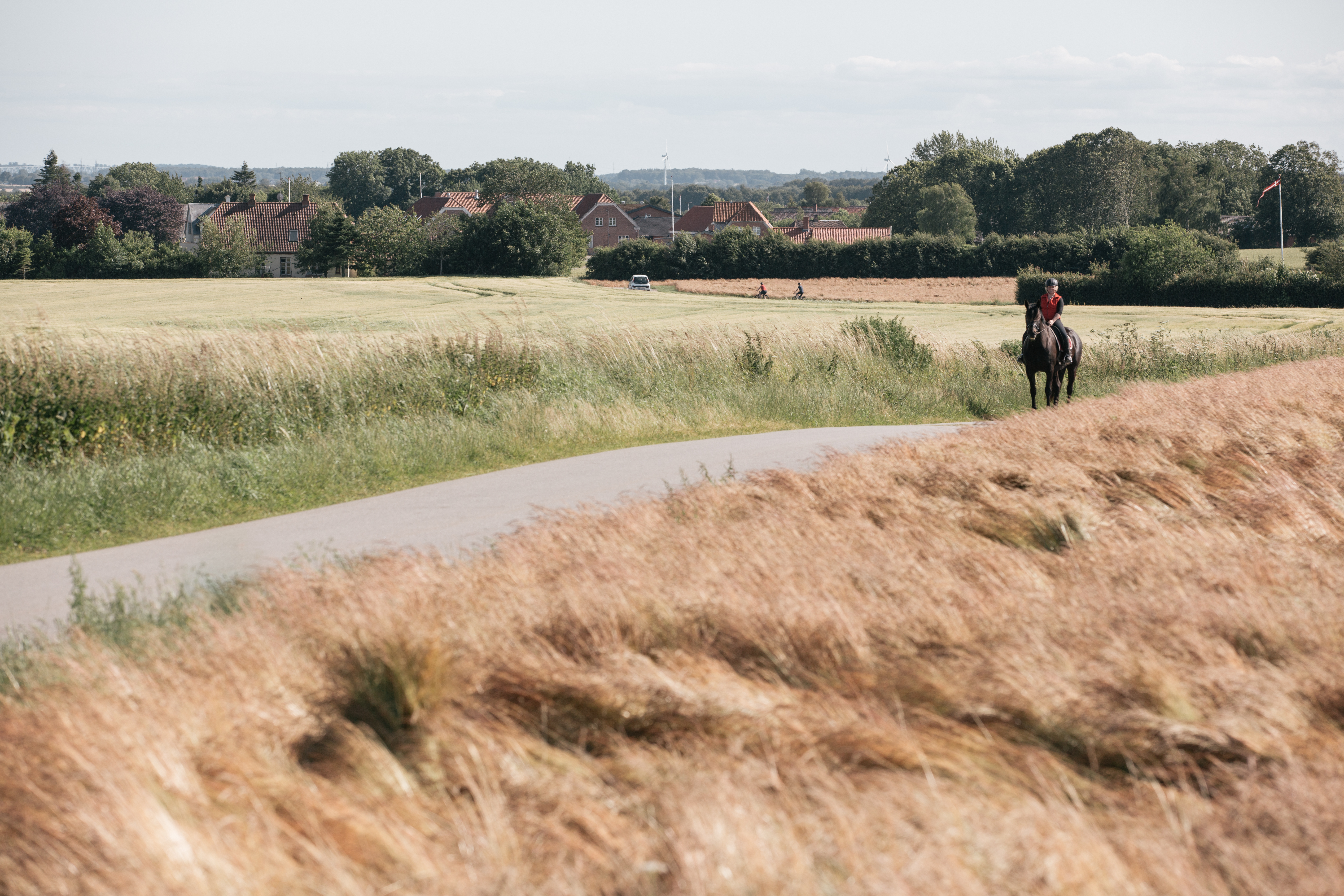 Landskabet i Gårslev