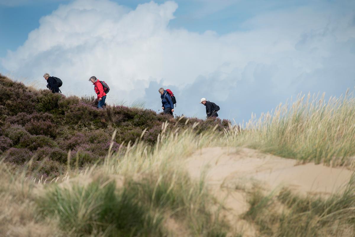 Vandring på Randbøl Hede