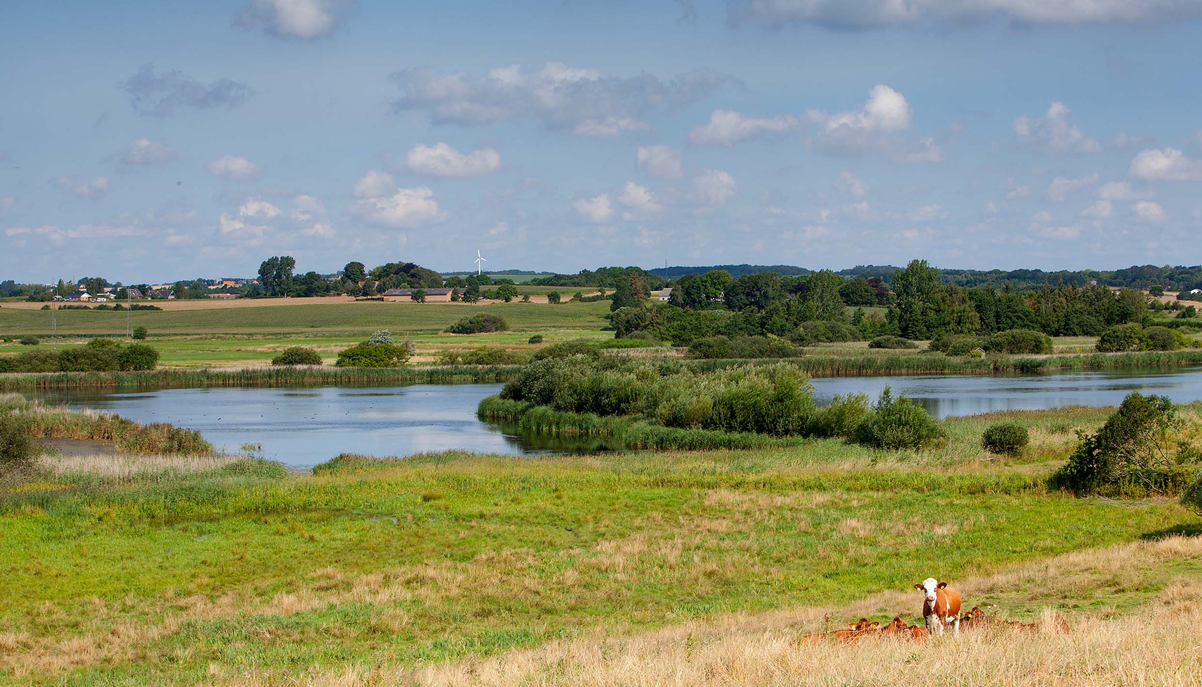Udsigt over Rands Fjord