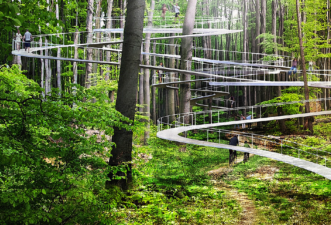 Billede af sti der svæver gennem skoven