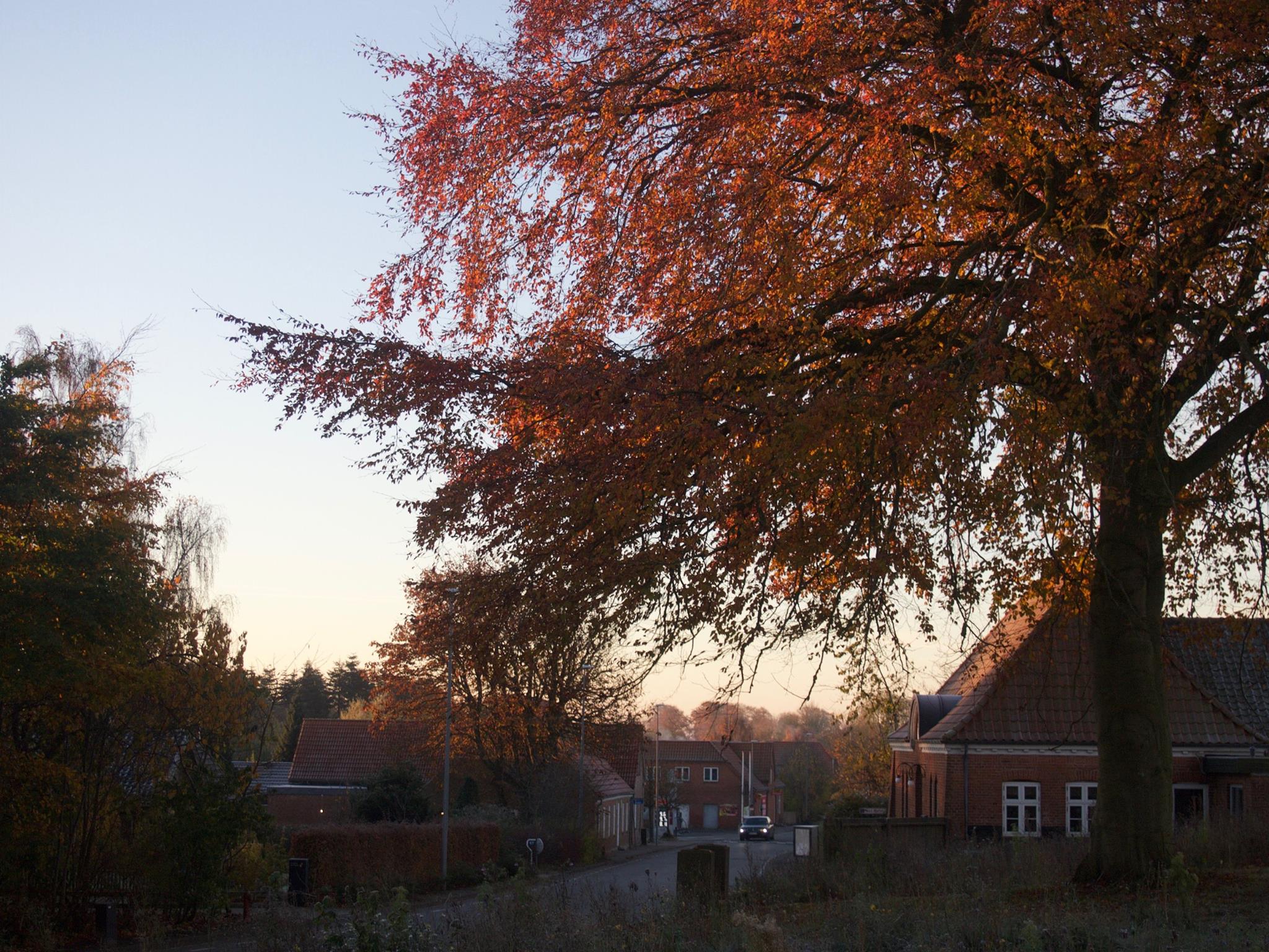 Stemningsbilleder fra Aagaard, Gravens og Øster Starup