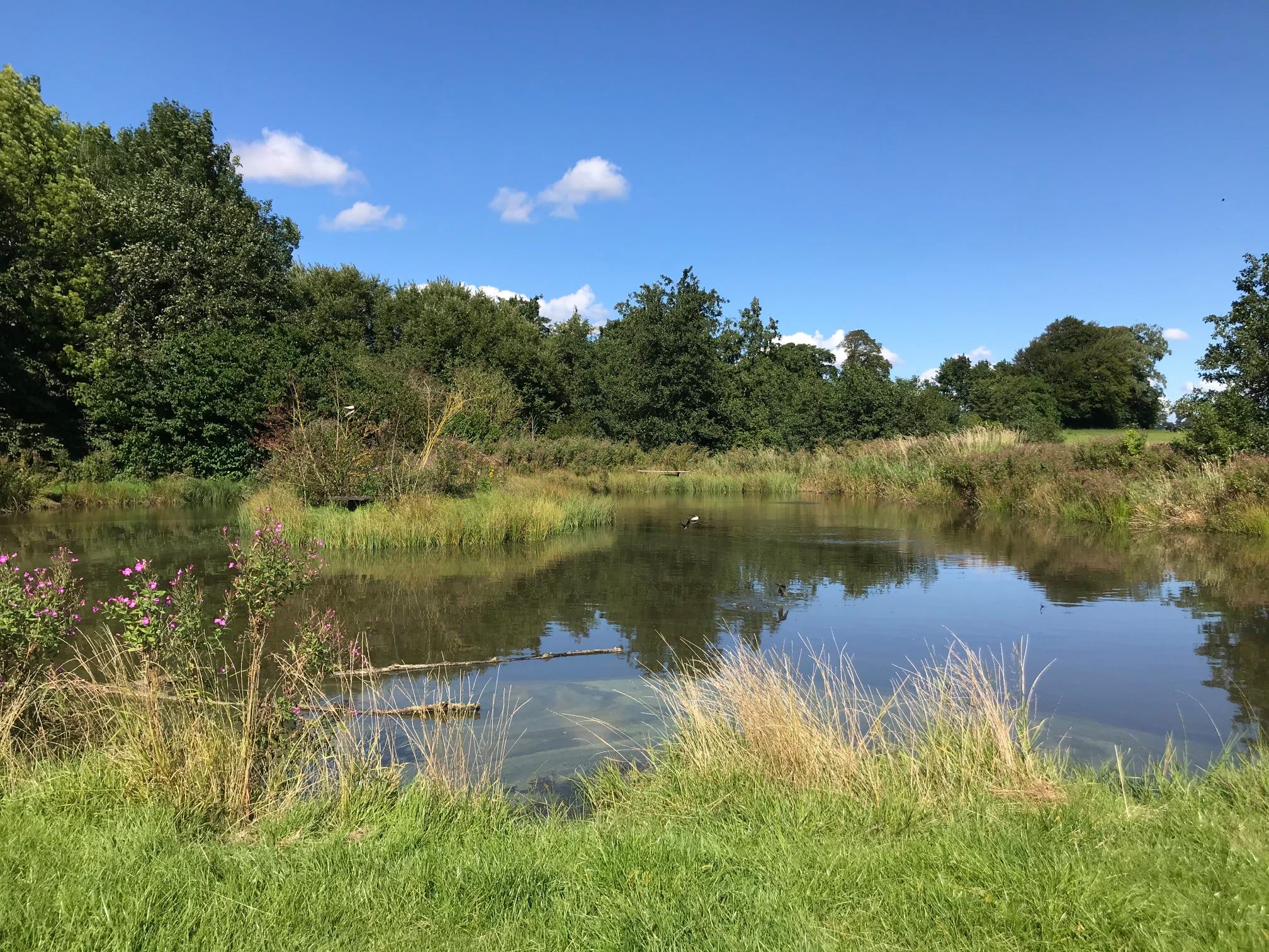 Stemningsbilleder fra Aagaard, Gravens og Øster Starup