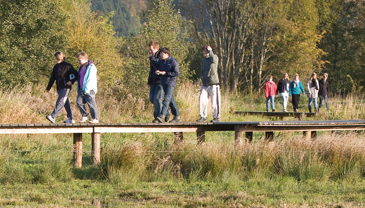 Gangbro i Kongens Kær