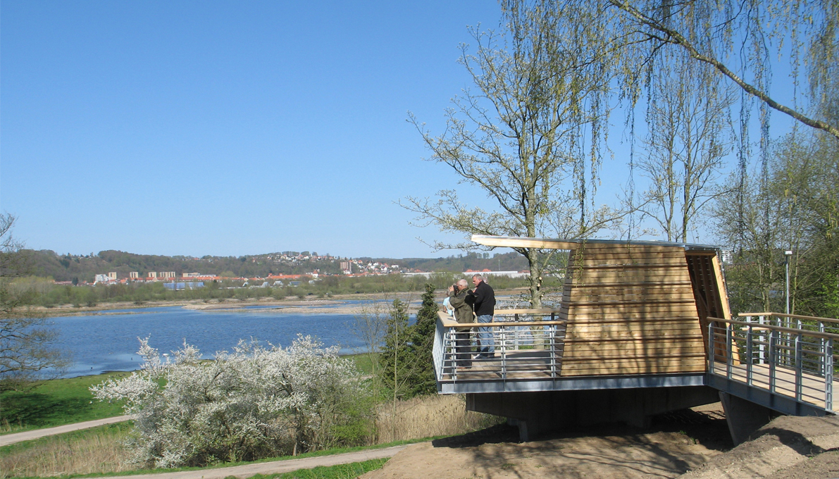 Udsigtsplatform i Kongens Kær