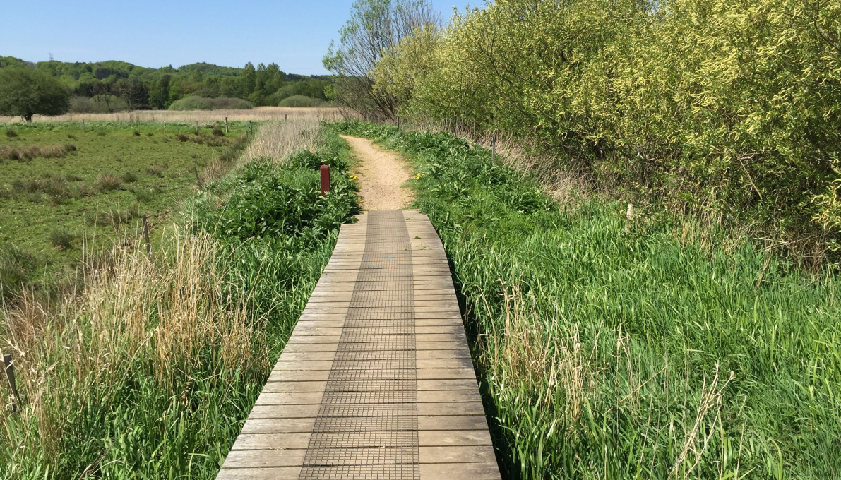 Kongens Kær gangbro