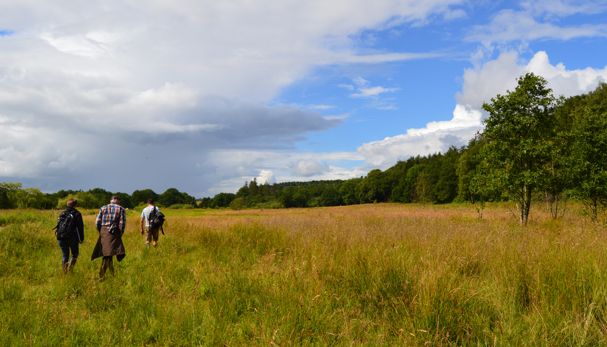 Vandring på engen ved Haraldskær