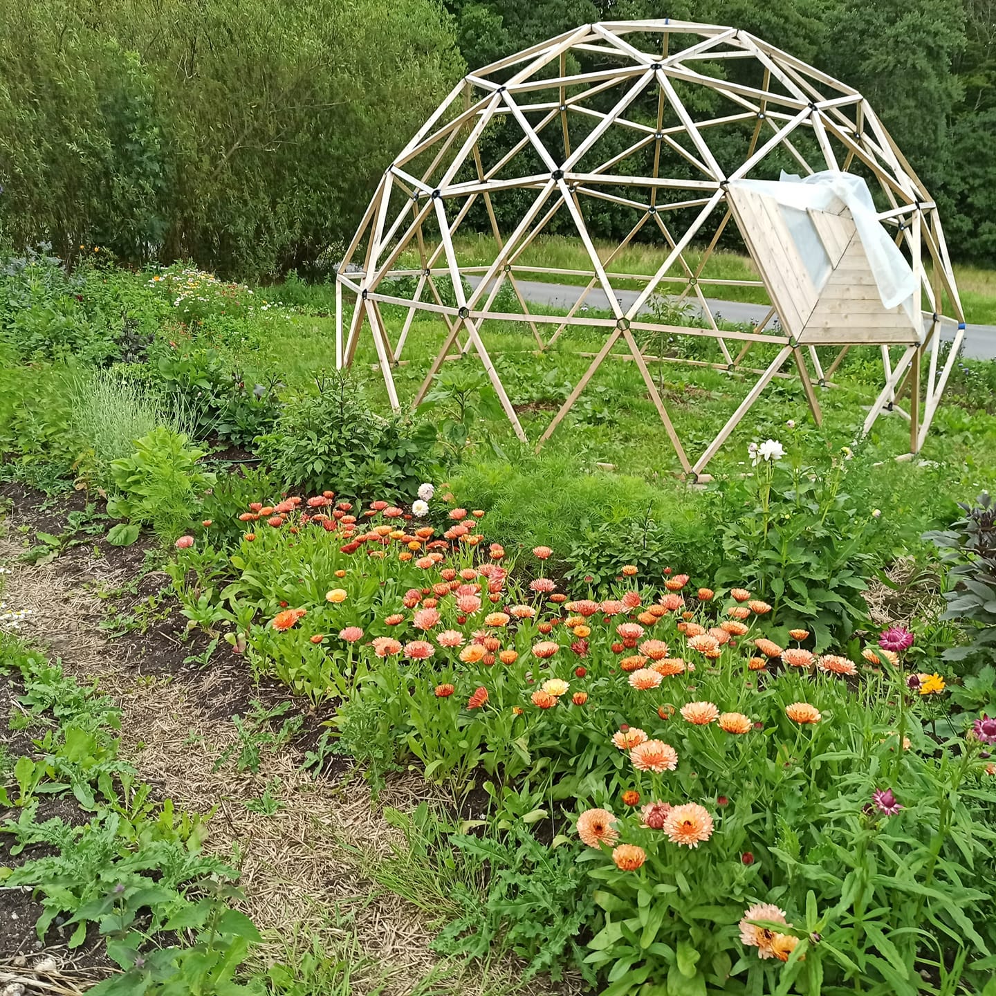 Nye ideer til klimavenlige og biodiverse haver på Facebook.