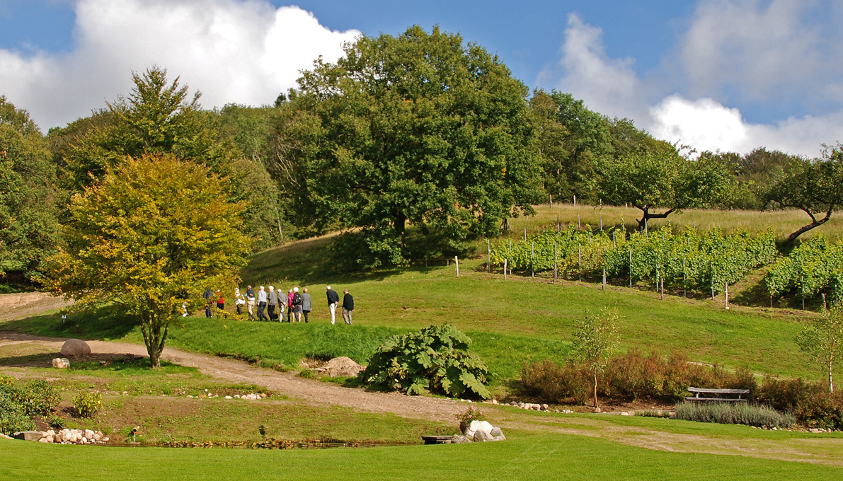Landskab ved Stenager Mølle