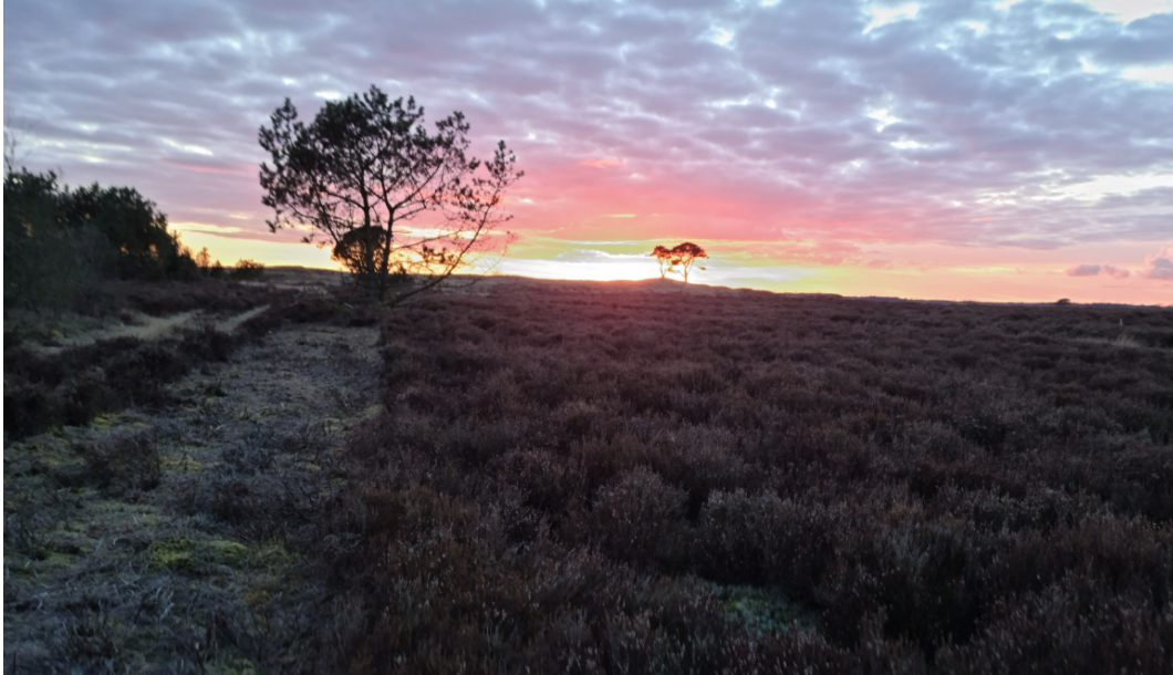 Vi ligger også tæt på Randbøl Hede, hvor fantastske solnedgange kan opleves kun 10 min kørsel fra byen.