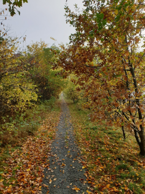 Vi har også mange stisystemer, der forbinder byens punkter, som benyttes flittigt af folk i byen.
