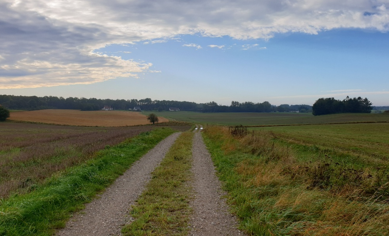De åbner vidder opleves både vest for byen, hvor udsigten til Fire høje kan ses.
