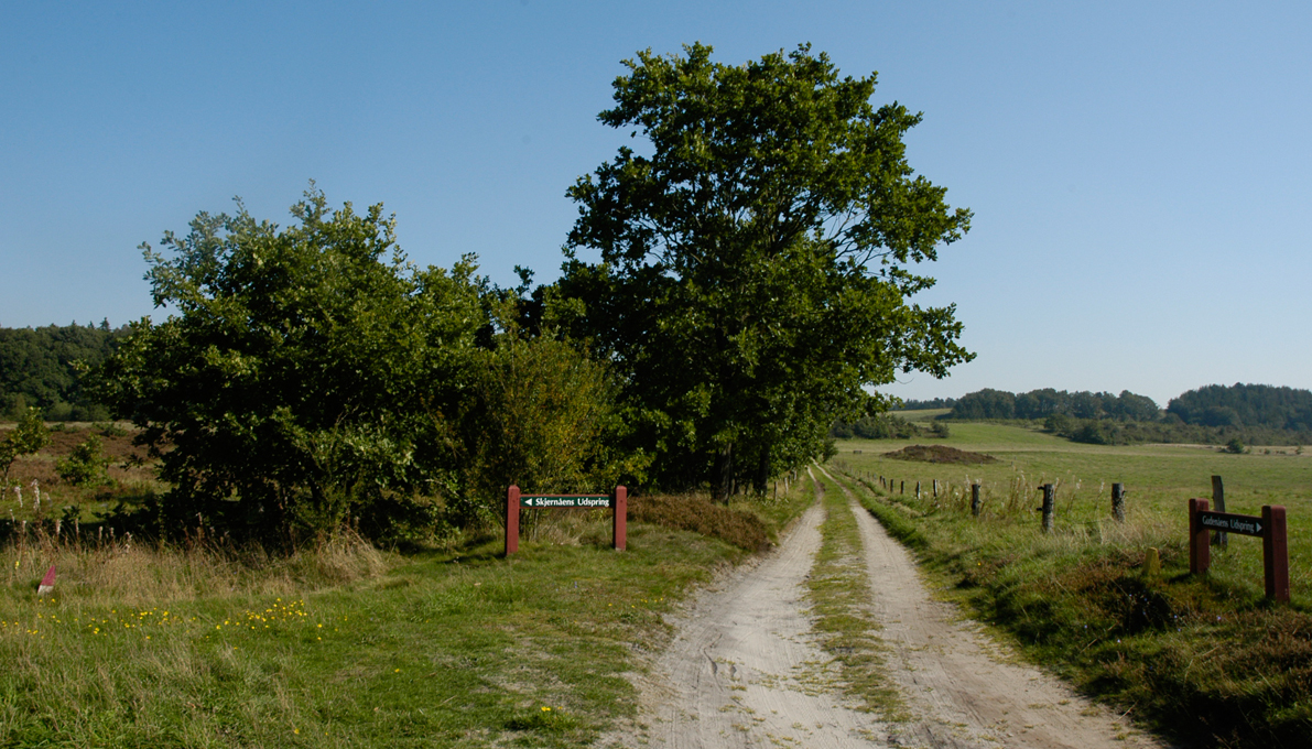 Skjernåens udspring