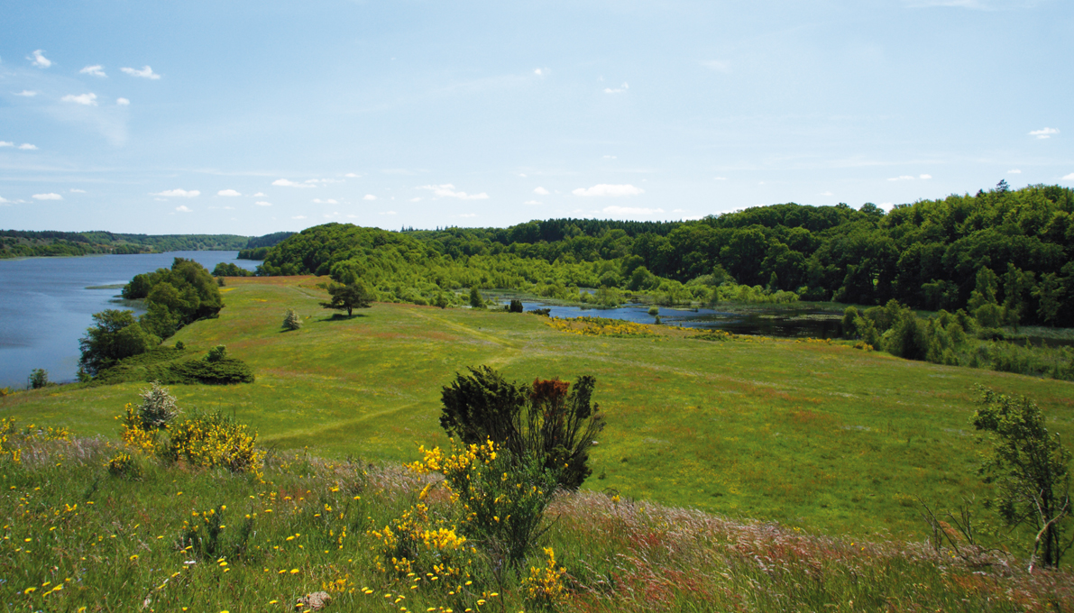 Udsigt over Rørbæk Sø