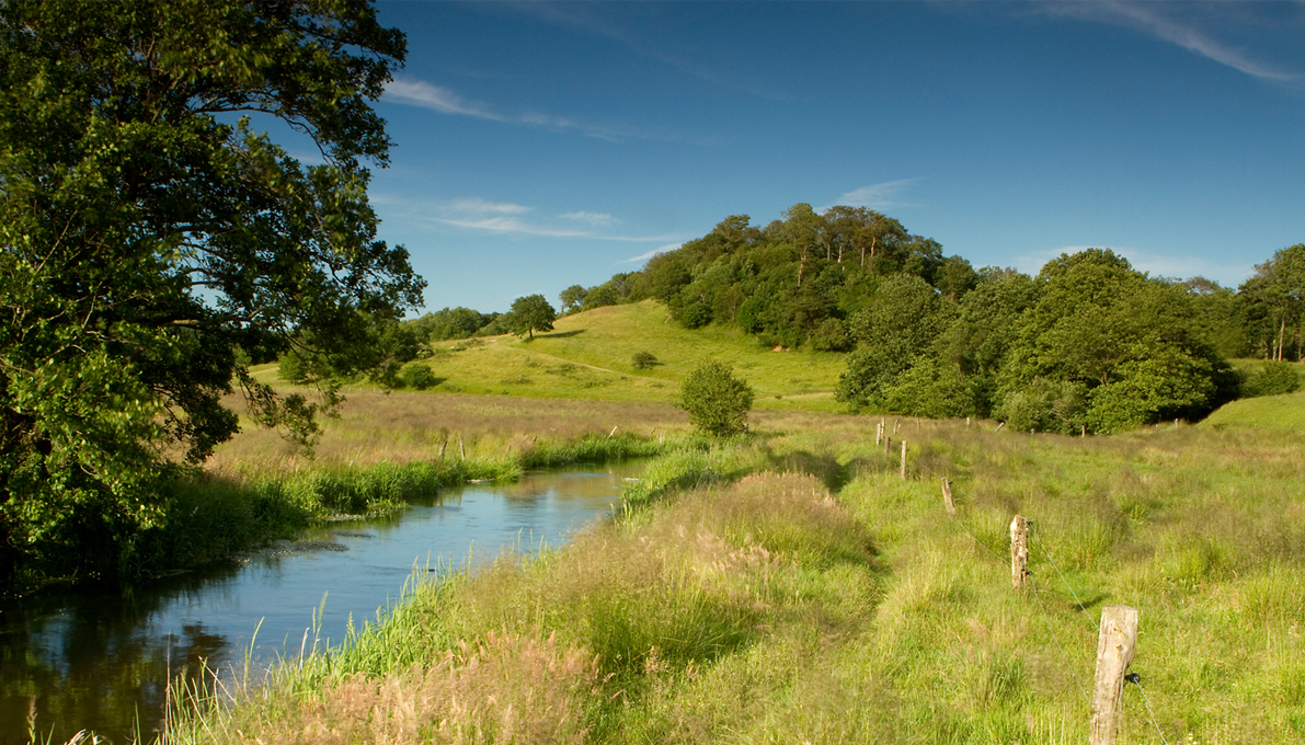 Udsigt fra Runkenbjerg