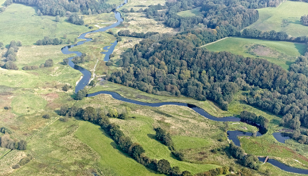 Vejle Å en genslynget å