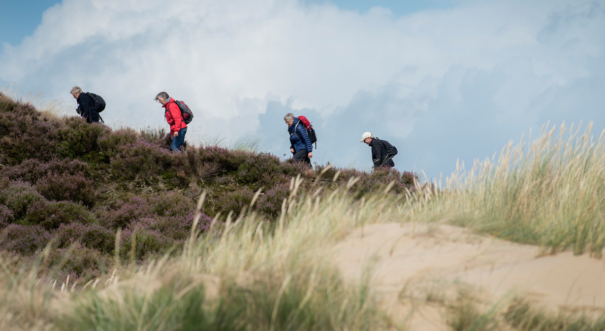 Vandring på Randbøl Hede
