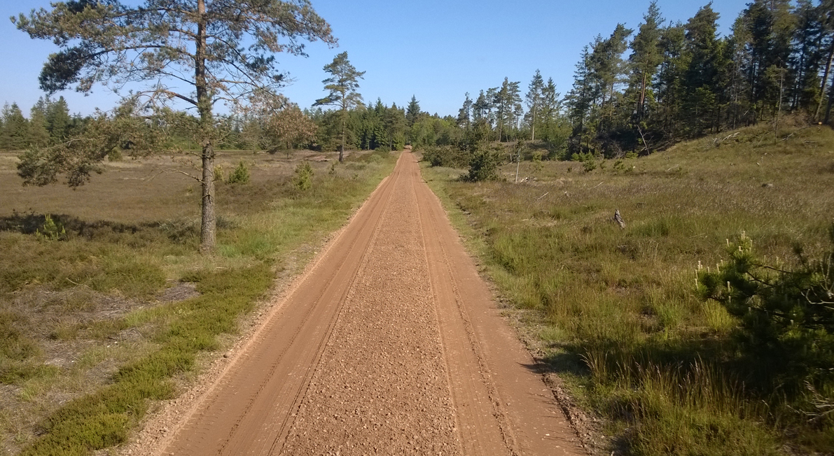 Bindeballestien vest for Bindeballe