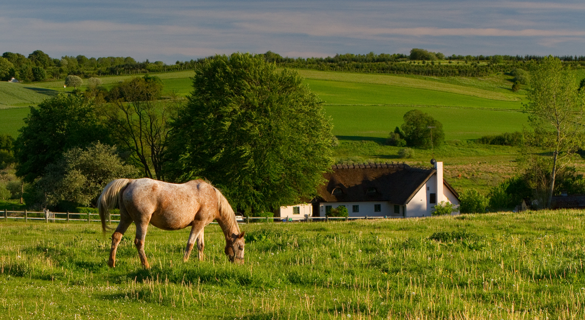 Udsigt ved Fårup Sø