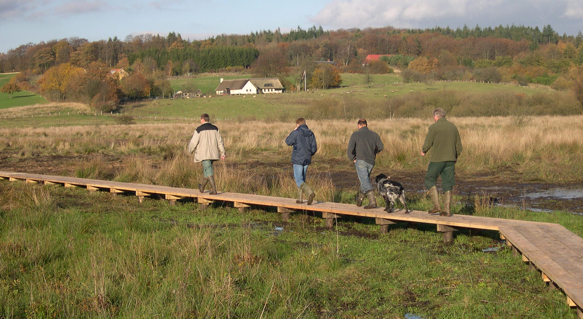 Boardwalk i Rugballe Mose