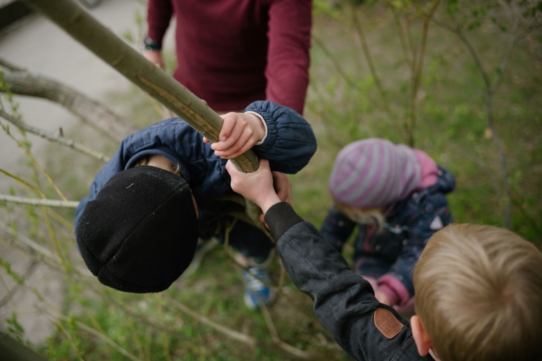 Motorik og bevægelse