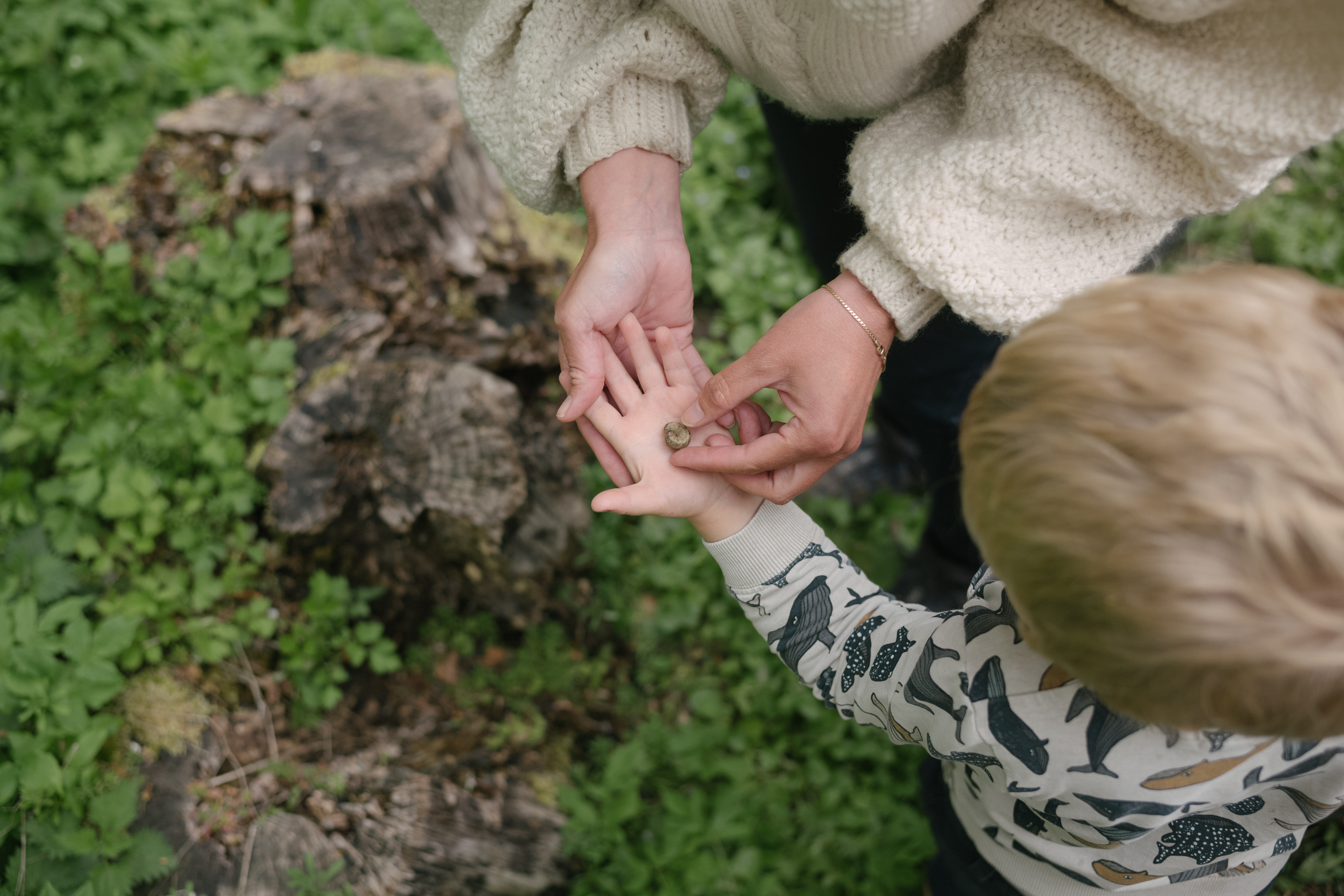 Finder dyr i naturen