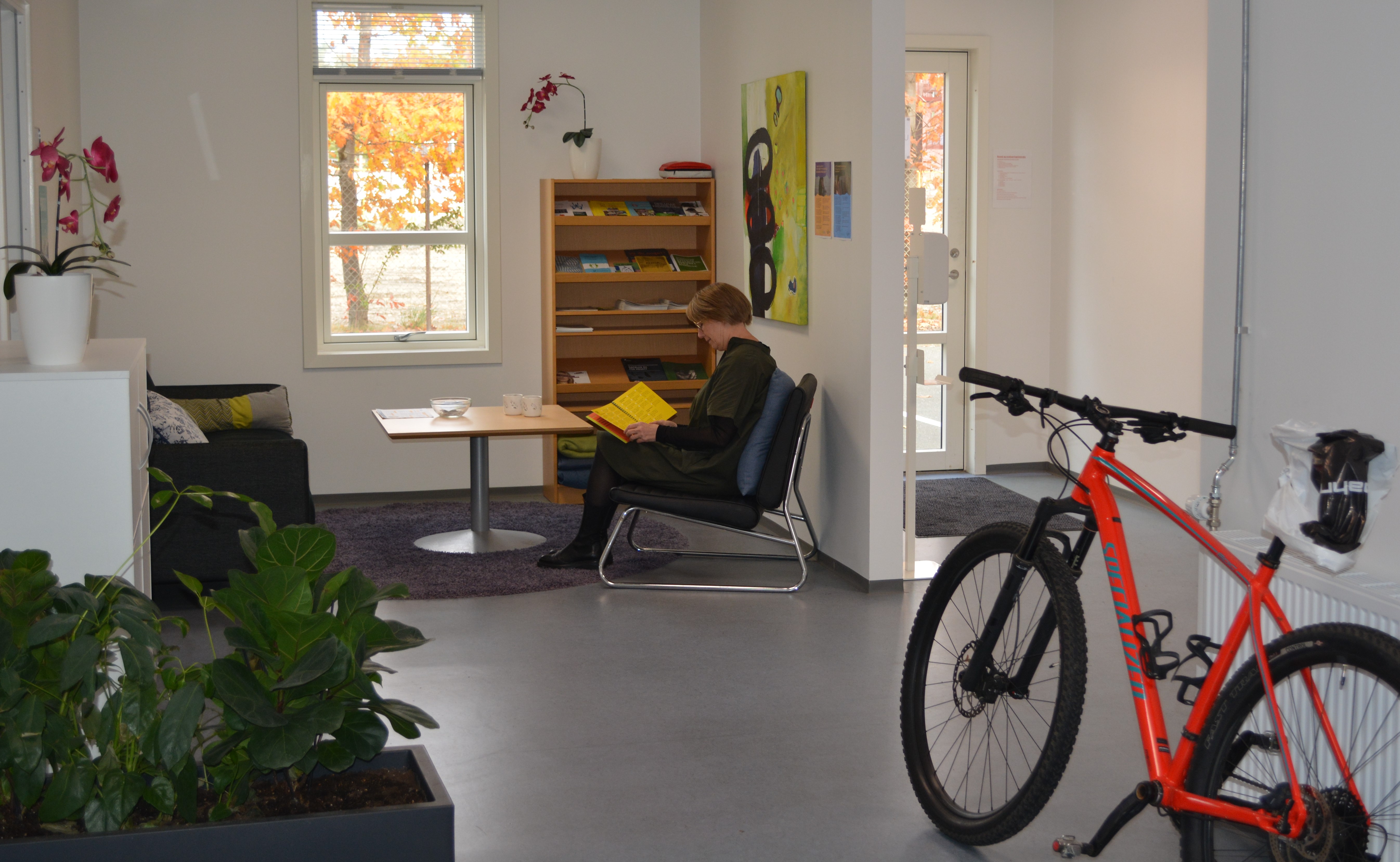 Ungeafdelingen Boulevarden