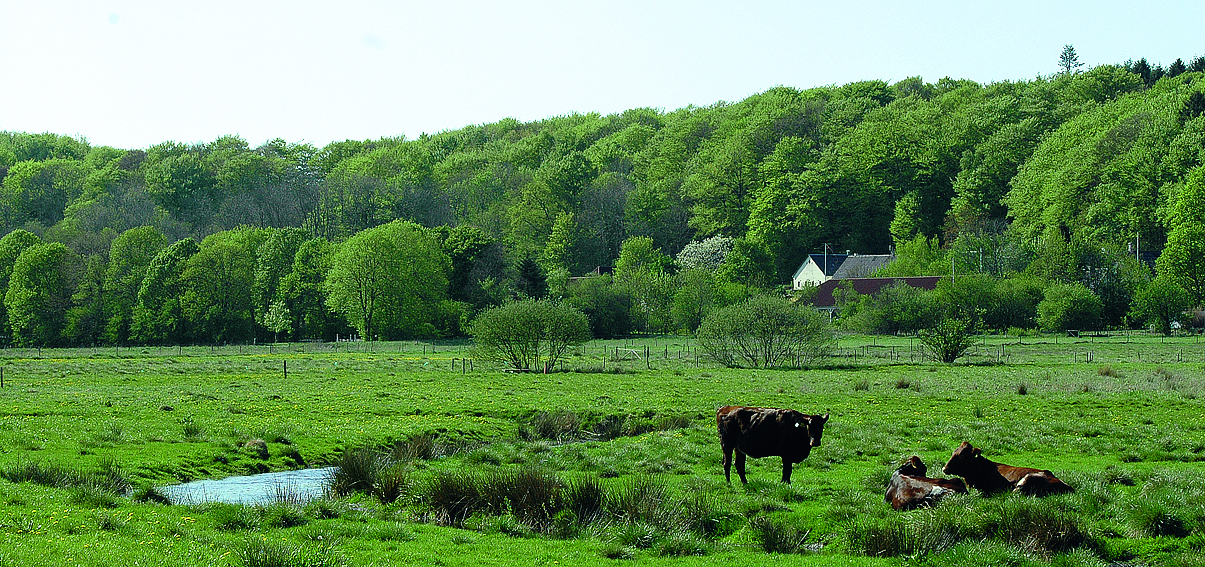 Grejs Ådal nedenfor Jelling.