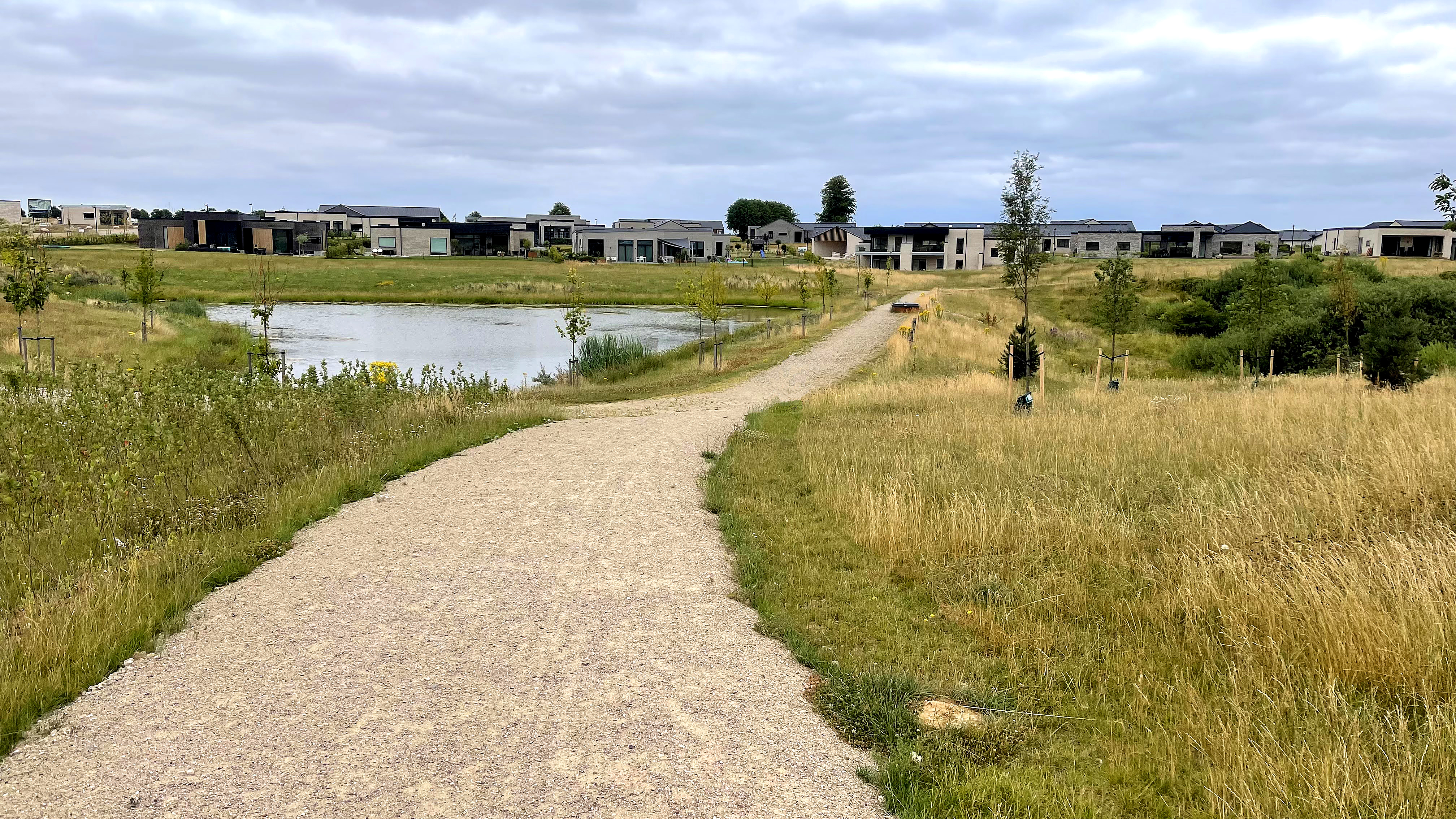 Grøn Ringsti ved Tirsbæk Bakker
