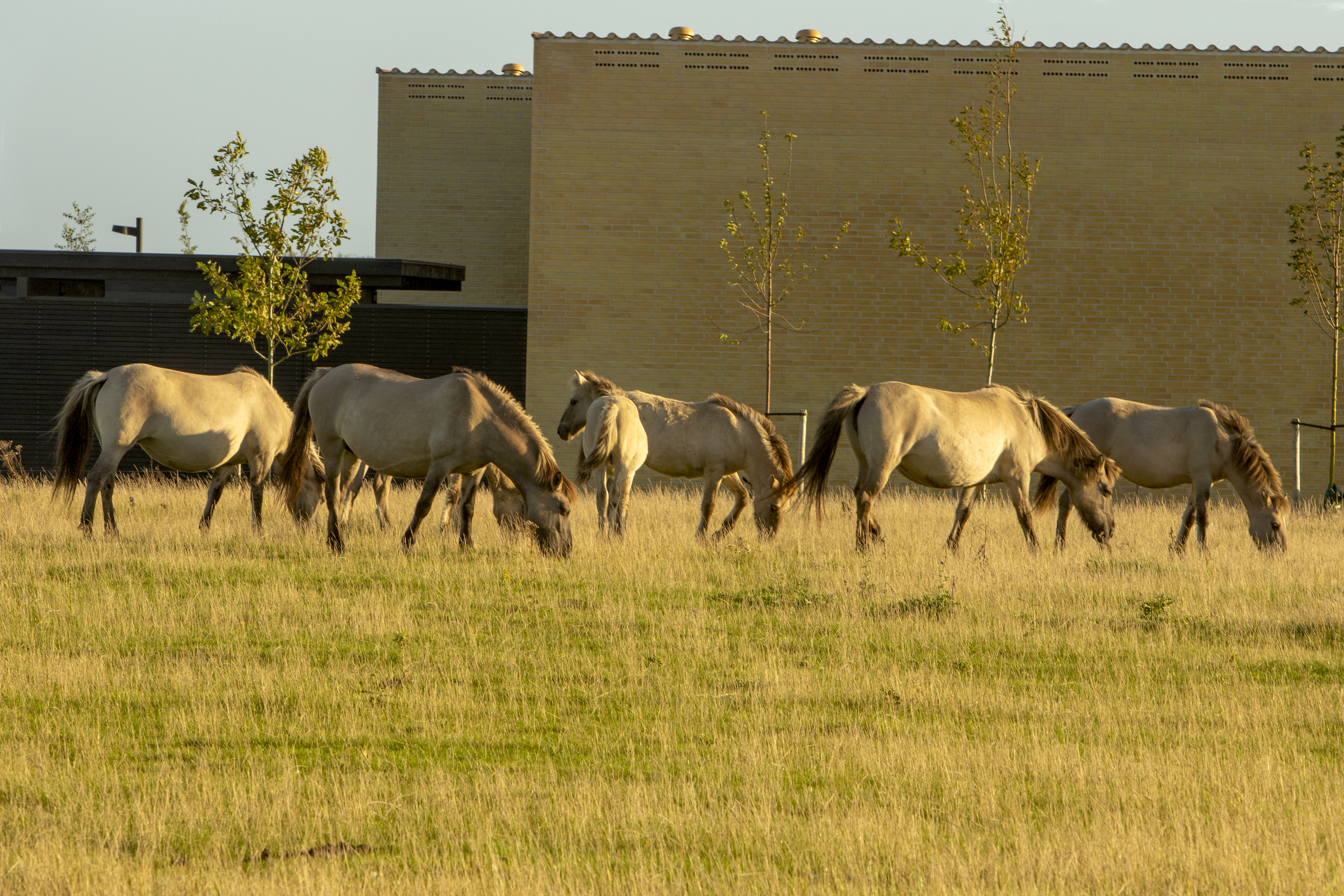 Stien forbinder bolig- og erhvervsområder med byen grønne steder.