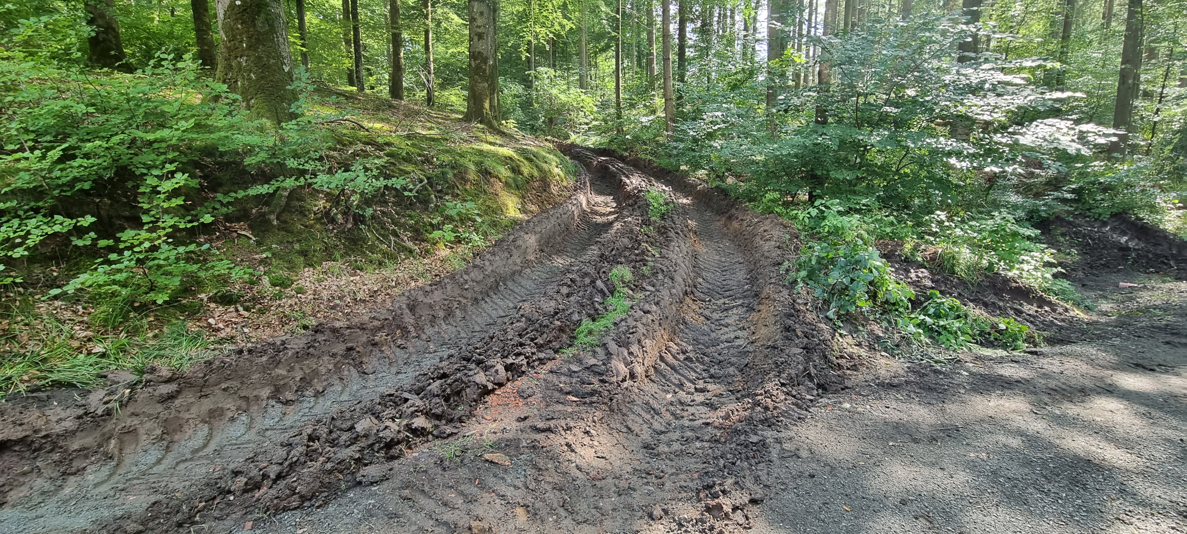 De steder, hvor stier er opkørte og der står vand, vil naturligvis blive reetableret, så snart vejret tillader det.