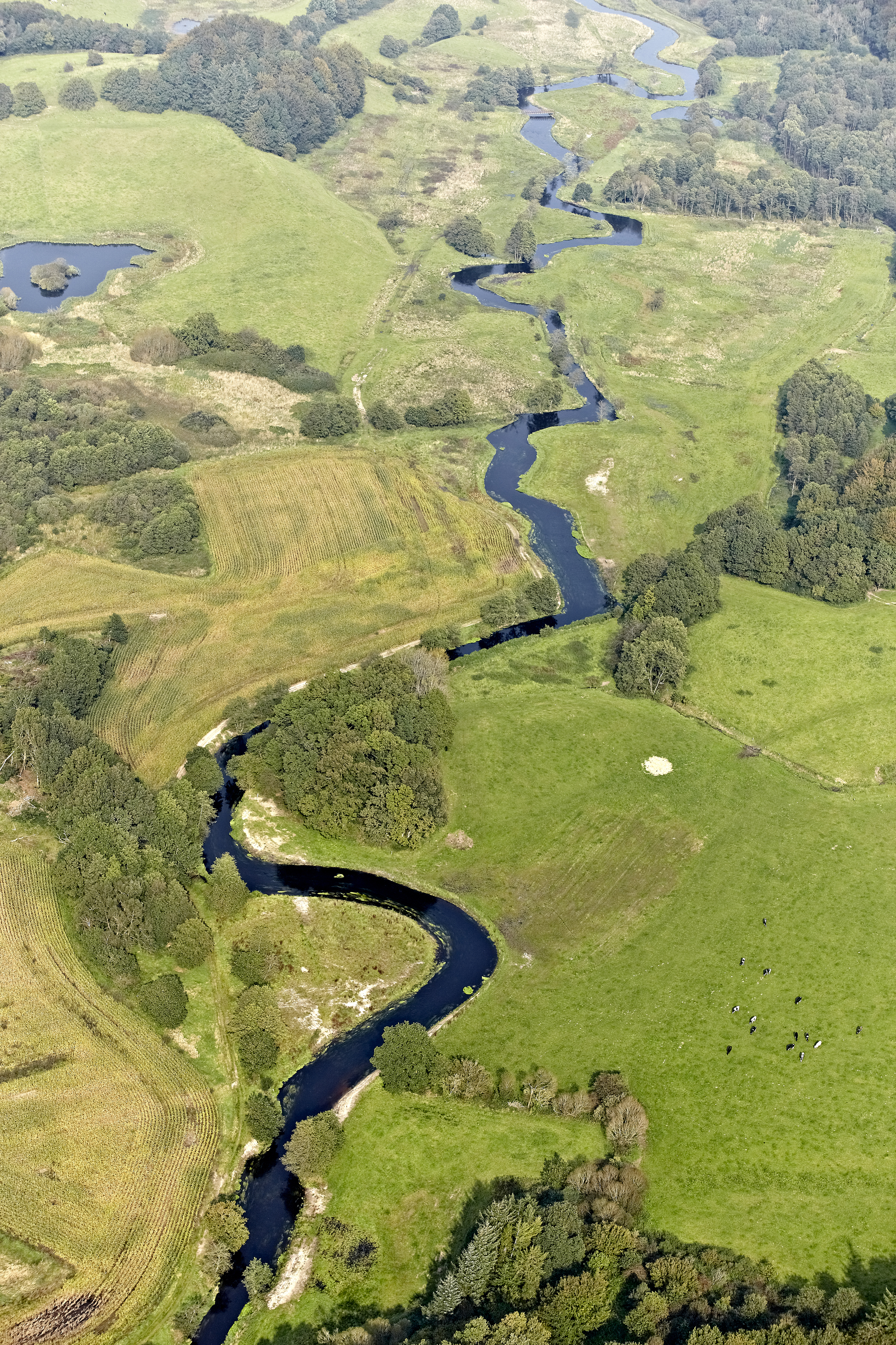 Vejle Å snor sig gennem landskabet.