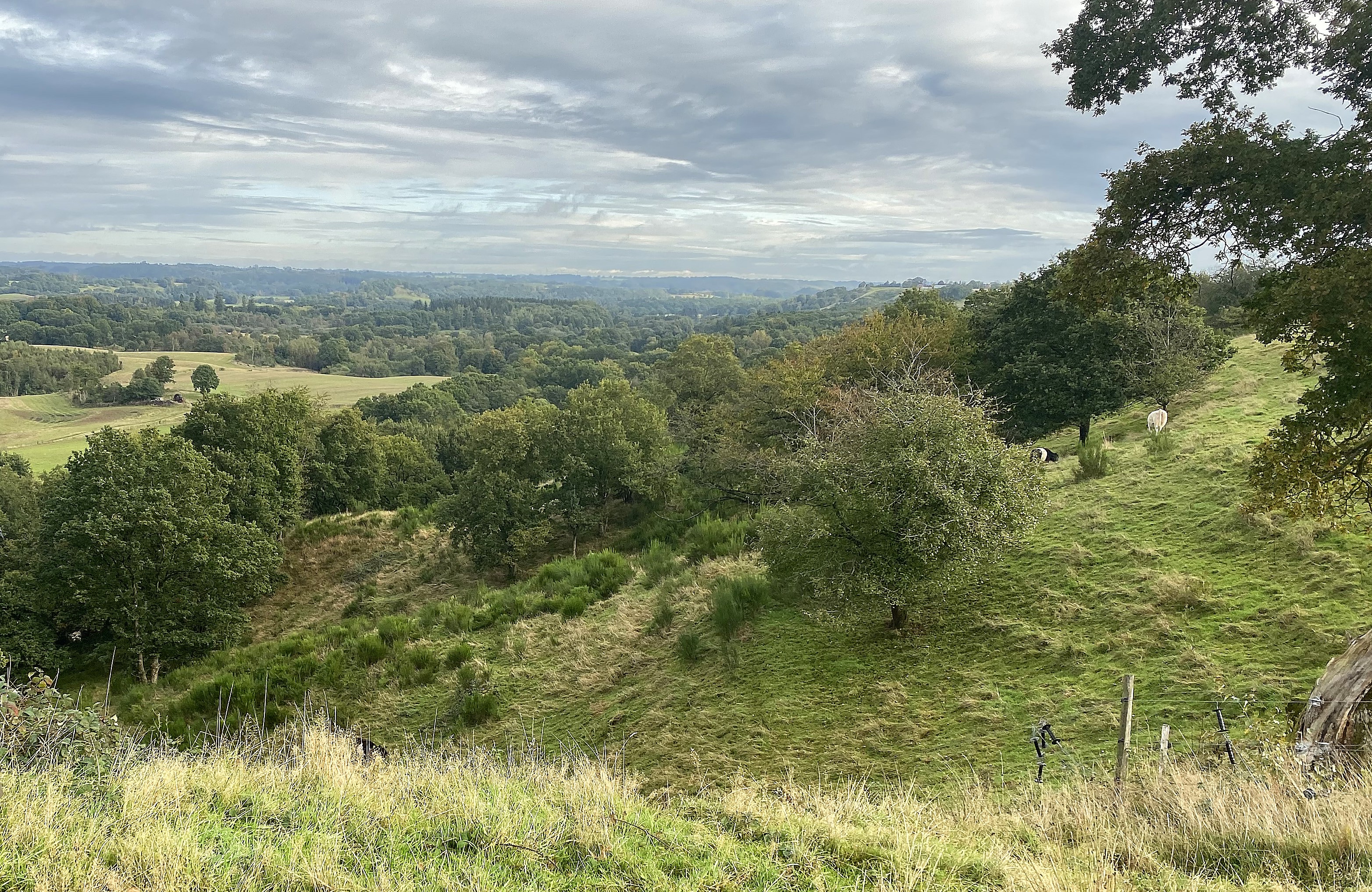 Udsigt over Egtved Ådal - tæt ved Tyvkrog.