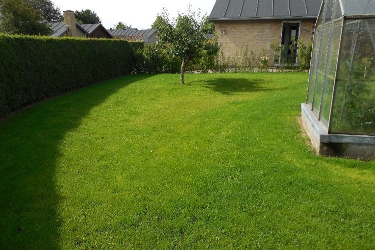 Nedsivning i græsplæne før et regnskyl