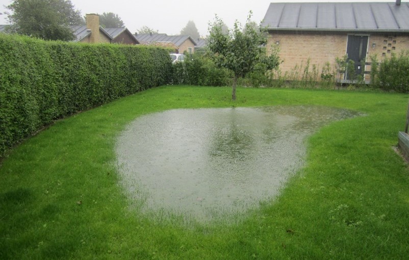 Nedsivning i græsplæne efter et regnskyl